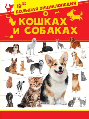 СОБАКИ - Подарочная Иллюстрированная Энциклопедия. Шкляев Андрей Николаевич  - «Большая красивая и дельная энциклопедия о собаках ?. Наглядное  подтверждение тому, что книга - лучший подарок ? » | отзывы