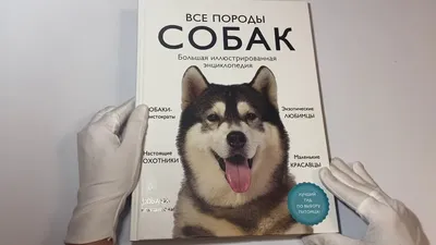 Большая энциклопедия. Собаки» Барановская Ирина Геннадьевна, Вайткене  Любовь Дмитриевна, Филиппова Мира Дмитриевна - описание книги | Большая  энциклопедия увлечений | Издательство АСТ