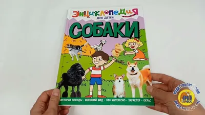 Большая энциклопедия. Собаки» Барановская Ирина Геннадьевна, Вайткене  Любовь Дмитриевна, Филиппова Мира Дмитриевна - описание книги | Большая  энциклопедия увлечений | Издательство АСТ