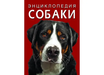 Энциклопедия. Собаки