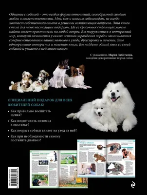 Энциклопедия о собаках для детей (70 фото) - картинки sobakovod.club