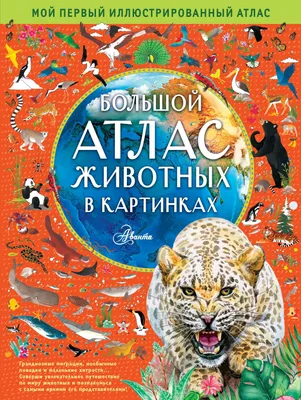 Моя первая рисованная энциклопедия: Животные (6246) по доступной цене