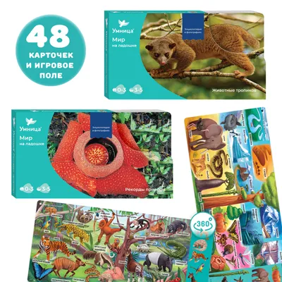 Детская энциклопедия – Животные, новое оформление от Махаон,  9785389072015mh - купить в интернет-магазине ToyWay.Ru