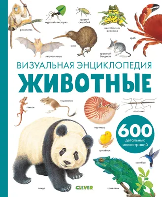 Животные. Визуальная энциклопедия купить книгу с доставкой по цене 336 руб.  в интернет магазине | Издательство Clever
