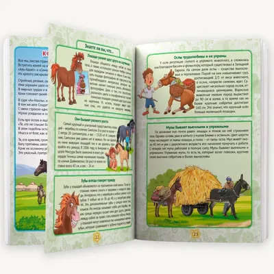 Энциклопедия животных: на суше, под водой и в воздухе купить по низким  ценам в интернет-магазине Uzum