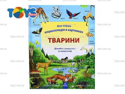 Детская энциклопедия в картинках «Животные» - Развивающие в  интернет-магазине Toys