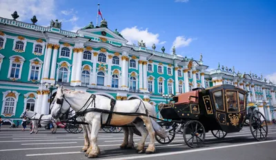 Государственный Эрмитаж | теплоходные прогулки и экскурсии с видом на  Эрмитаж в Санкт-Петербурге