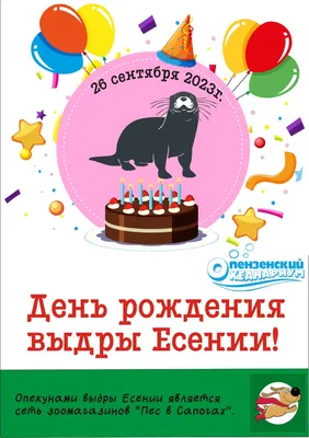 Есения, с Днём Рождения: гифки, открытки, поздравления - Аудио, от Путина,  голосовые