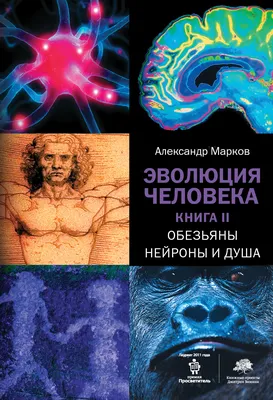 Эволюция человека будущего иллюстрация…» — создано в Шедевруме