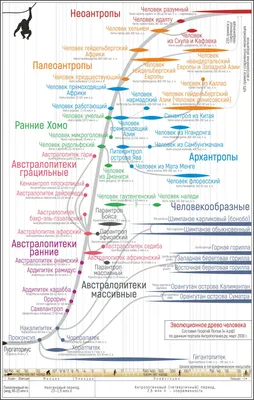 ЭВОЛЮЦИЯ БИОСФЕРЫ - Лаборатория ландшафтной экологии