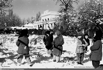 Изображения Федора Федосеева: впечатляющие фотографии высокого разрешения