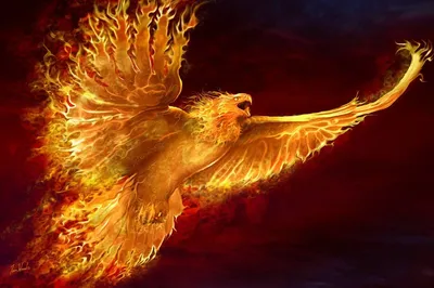 Огненная мифологическая птица: на Дюкинских скалах была замечена девушка- феникс