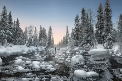 зимний пейзаж на берегу реки с туманом и с деревьями в инее, Россия, Урал,  февраль Stock-Foto | Adobe Stock