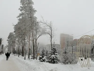 Февраль, Рем Сайфульмулюков- картина, зимний день, деревня, снег, березы,  пейзаж, реализм