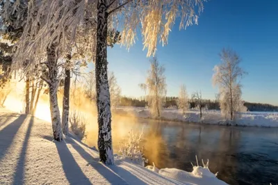 Синоптики прогнозируют теплый февраль на большей части европейской России |  Природа | Общество | Аргументы и Факты