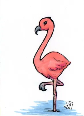 Картинки фламинго для срисовки | Рисунки, Фламинго, Рисование