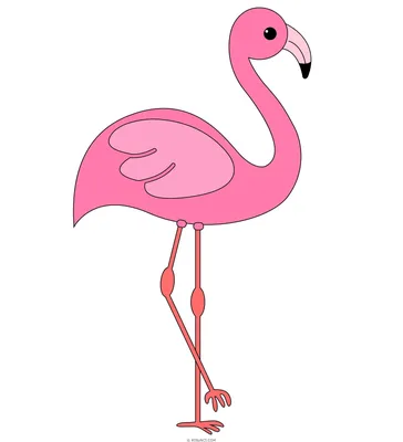 Картинки фламинго для срисовки | Flamingos art illustration, Flamingo  artwork, Flamingo illustration