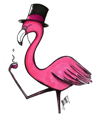 Фламинго рисунок карандашом для срисовки - 60 фото