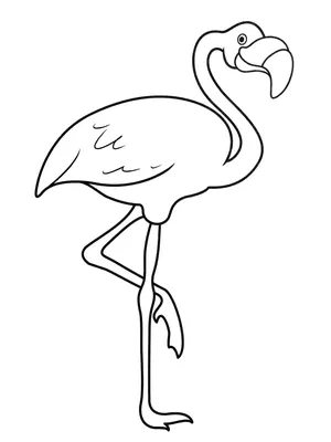 Фламинго рисунок акварелью» — создано в Шедевруме