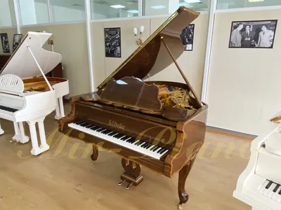 История фортепиано. Интересные факты | Музыкальная школа ArtGrand