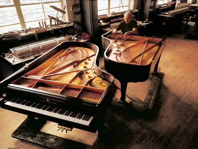 Фортепиано и пианино разница | Вокал без границ | Дзен