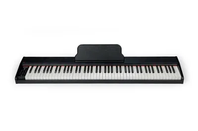 Mikado MK-1000B Цифровое фортепиано: цена, купить в Москве, Новосибирске –  интернет-магазин LTM