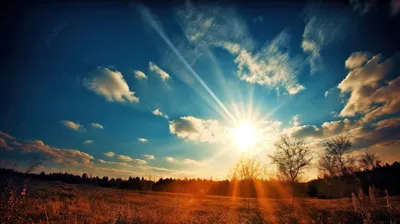 Солнце в деревьях, яркое солнце в листве Стоковое Фото - изображение  насчитывающей цвет, запачканный: 118901184
