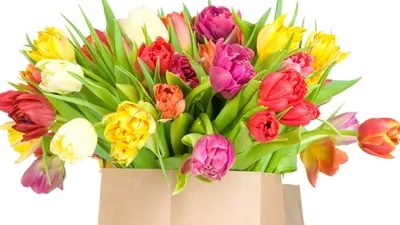 Самые красивые и нежные цветы. подарок на 8 марта - обои на рабочий стол