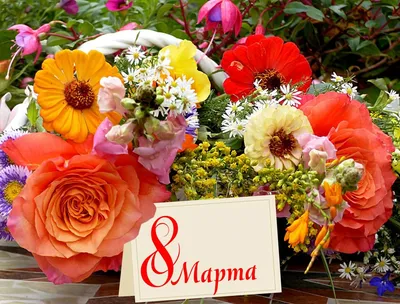 Обои тюльпаны, Цветы, женщин, с, дорогих, 8 марта, всех на рабочий стол