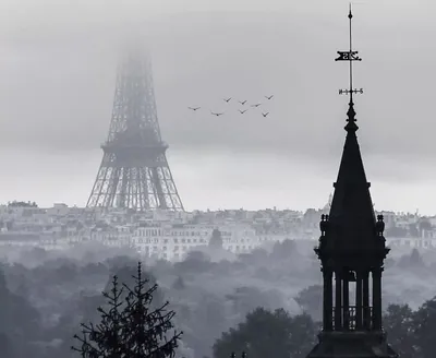 Франция во главе с Парижем скатывается в Средневековье: туристам становится  опасно приезжать в эту страну по одной ужасной причине | Туристические  новости от Турпрома