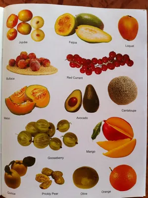 А какие фрукты знаете вы?..