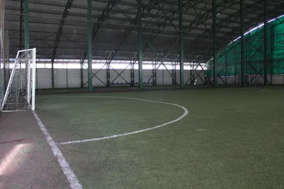 Открытое поле Парк Сокольники 8*8 в аренду в Москве — футбольный центр Сити  Футбол