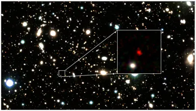 Джеймс Уэбб» запечатлел кольцеобразную галактику Колесо Телеги | РБК Life