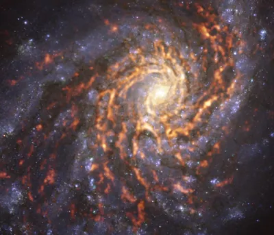 Фото дня: напоминающая Млечный Путь спиральная галактика в Волосах Вероники
