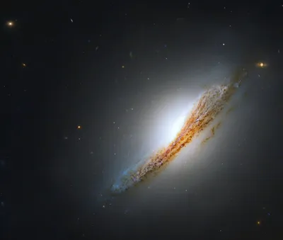 Галактика Андромеда невооруженным глазом – ближайшая к Солнцу галактика |  Туманность Андромеды | Мессье 31 | Star Walk