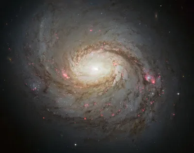 Карта, содержащая 1 млрд галактик