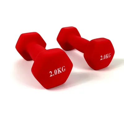 Гантели для фитнеса 2 кг x 2 шт, металл с виниловым покрытием (красный)  купить недорого, цена 760 грн. | Rn-Sport