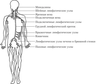 Медицина - РГБУЗ \"Ногайская центральная районная поликлиника\" (РГБУЗ \"НЦРП\")