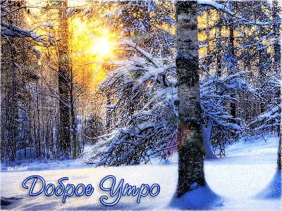 Гифки - Доброе зимнее утро! (70 фото)