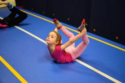 Развивающая гимнастика: комплекс упражнений на гимнастических снарядах и  упражнения для дома – Европейский Гимнастический Центр