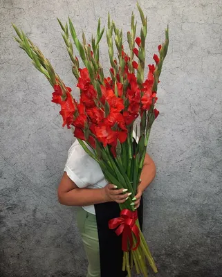 Букет из красных и бордовых гладиолусов - заказать доставку цветов в Москве  от Leto Flowers