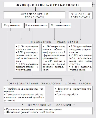 Главные правила русского языка в картинках фотографии