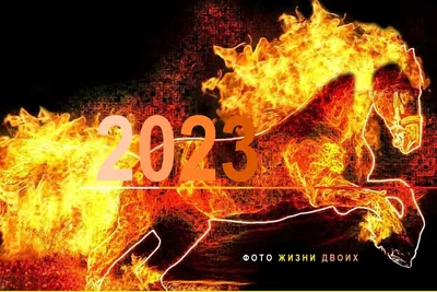 2023 - год Огнегривого Коня, по славянскому календарю - новое 7531 лето |  ФОТО ЖИЗНИ ДВОИХ | Дзен