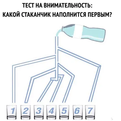 Кошачий тест на внимательность: попробуйте отыскать колбасу, багет и  кусочек пиццы | Кот-воитель, Кошачьи, Головоломки