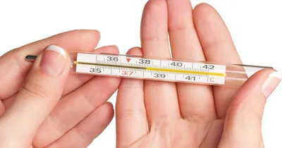 Термометр (градусник) без ртути Geratherm Classic - купить недорого в  интернет-магазине