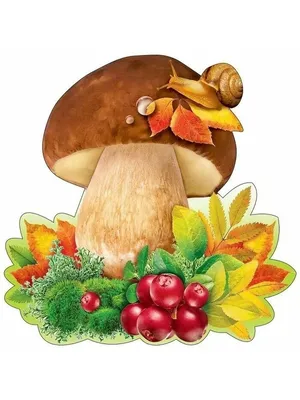 Картинки грибов для детей - 60 фото