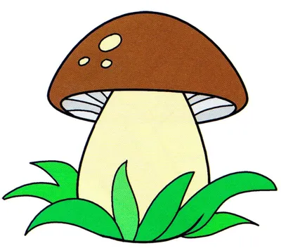 Профессор Почемушкин - Развивающий мультфильм для детей –Почему некоторые  грибы называют ядовитыми? - YouTube