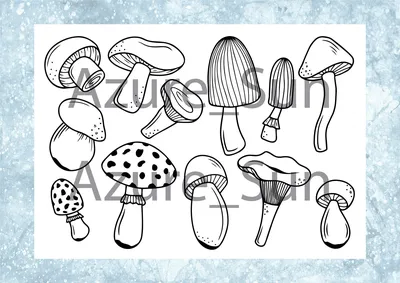 Сказочные грибочки - дети | Пикабу
