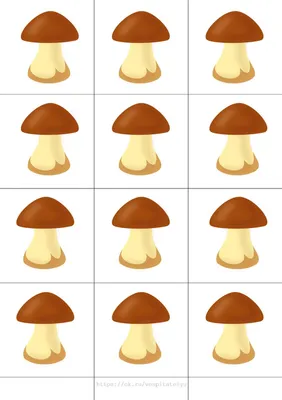 Картинки грибов с названиями для детей и взрослых