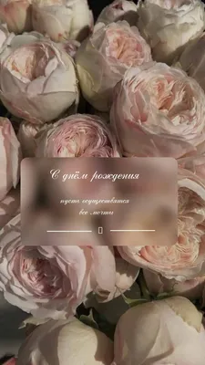 С Днем Рождения меня! 🌷 Сложно было предположить, что в этом году мой день  рождения выпадет на столь грустные события. В связи с этим… | Instagram